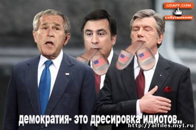 Карикатура на Буша, Саакашвили и Ющенко: Демократия - это дриссировка идиотов...